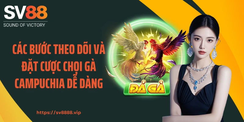 Các bước theo dõi và đặt cược chọi gà Campuchia dễ dàng