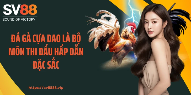 Đá gà cựa dao là bộ môn thi đấu hấp dẫn đặc sắc