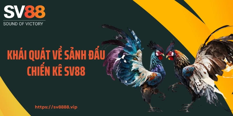 Khái quát về sảnh đấu chiến kê SV88