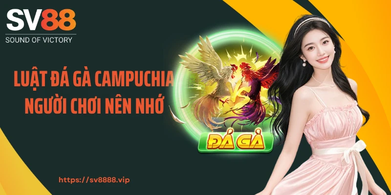 Luật đá gà Campuchia người chơi nên nhớ