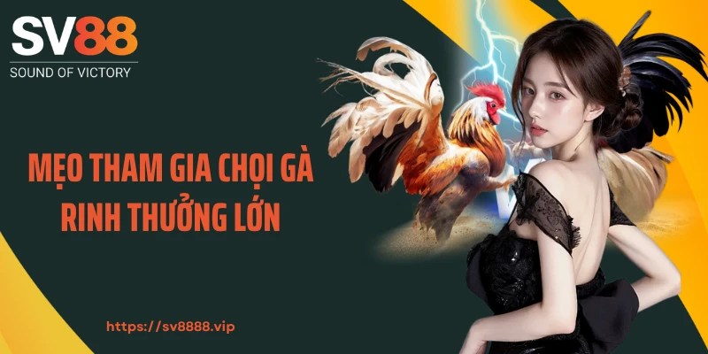 Mẹo tham gia chọi gà rinh thưởng lớn