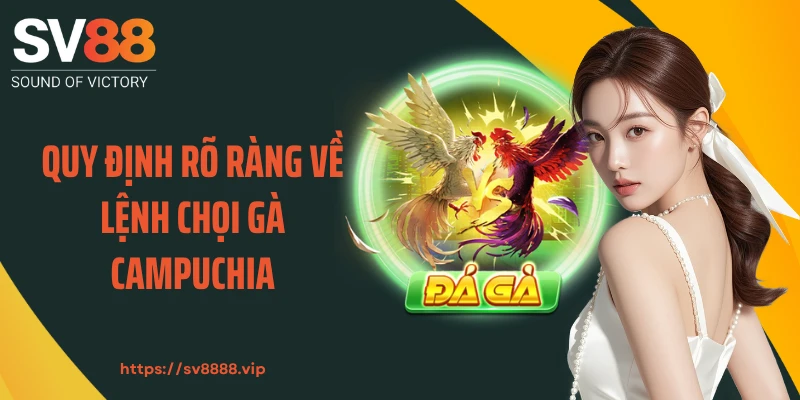 Quy định rõ ràng về lệnh chọi gà Campuchia