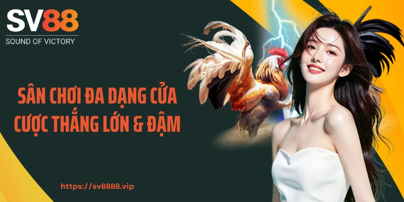 Sân chơi đa dạng cửa cược thắng lớn & đậm